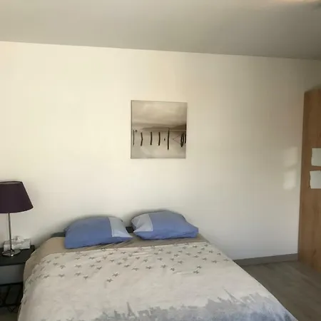 Appartement Grand Studio Proche Euroairport Saint-Louis (Haut-Rhin)